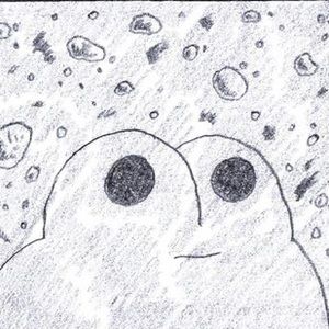 Meet your Posher, Caleb